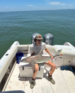 Blacktip shark fishing in AL