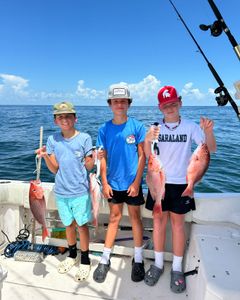 4 channel catfish caught in AL