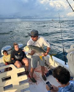 Crevalle Jack fish caught while fishing in AL