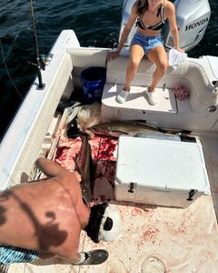 Fishing in Alabama