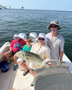 4 people fishing on Dauphin Island