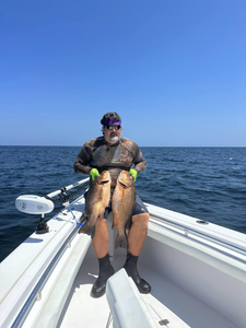 2 grey snapper fish caught while fishing in AL