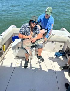 A single Atlantic Sharpnose Shark, a 23-inch catch, in Dauphin Island