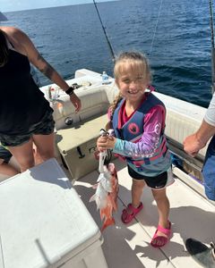 Angler fishing on Dauphin Island