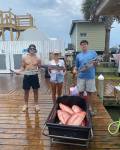 Three king mackerel fish caught by three people on Dauphin Island