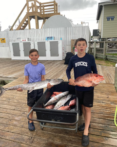 Two king mackerel, each measuring 35 inches, caught in Dauphin Island