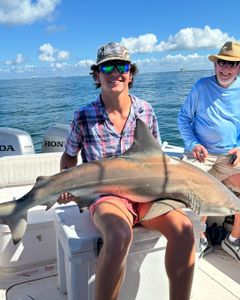 Whitetip reef shark caught in fishing trip in AL