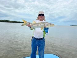 Gulf breeze fishing Chokoloskee