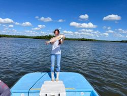 Hook, line, sinker in Chokoloskee