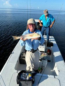 Landing redfish near the mangroves