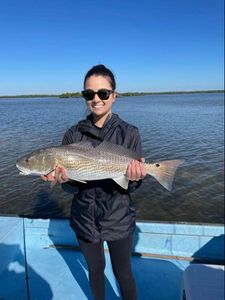 Fishing the tide shift