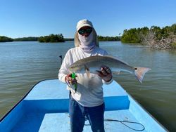 Trophy redfish from the shallows