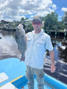 Angler with a black drum fish in FL