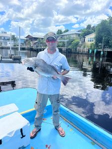 Chokoloskee backwater drum bites