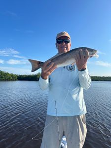 Redfish runs in Chokoloskee flats