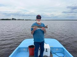 Redfish caught on Chokoloskee Island