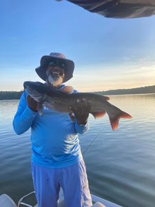 Angler with a blue catfish in GA