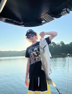 Fisherman catching a striped bass in Georgia
