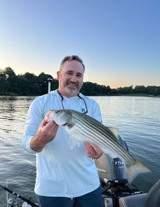 Fisherman with Striped Bass catch in Oakwood