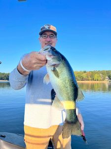 Largemouth Bass caught in Oakwood