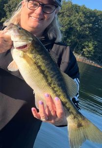 Largemouth bass caught in Oakwood