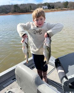 Two small fish caught in GA