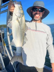 Striped bass caught in GA