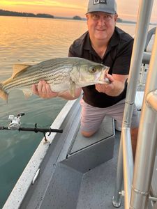 Striped bass caught while fishing in GA