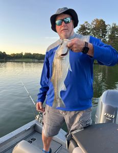 Striped bass caught fishing in GA