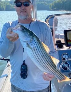 Striped bass caught while fishing in GA