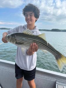 Striped bass fishing in GA