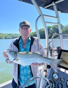 Striped bass caught fishing in GA
