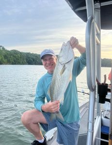 Striped bass fishing in Oakwood