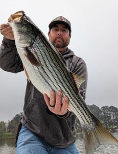 Striped bass caught in GA