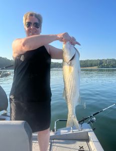 Striped bass fishing in GA