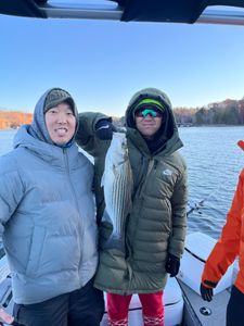 Striped bass caught fishing in GA
