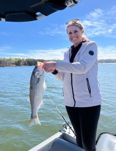 Striped bass caught during fishing trip in GA