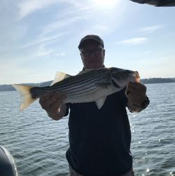 Striped bass caught in Oakwood
