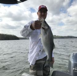 Striped bass caught in Oakwood