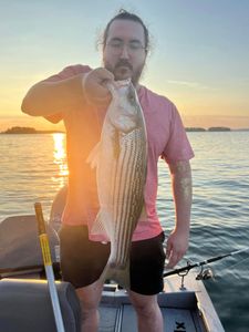 Striped bass caught in Oakwood