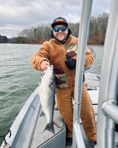 Striped bass caught in Oakwood