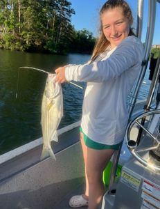 Striped bass caught by two people in Oakwood