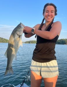 Striped bass caught during fishing trip in Oakwood