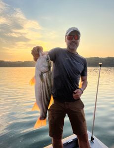 Striped bass caught in Oakwood