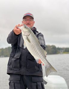 Striped bass caught at Oakwood