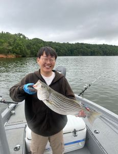 Striped bass caught in Oakwood