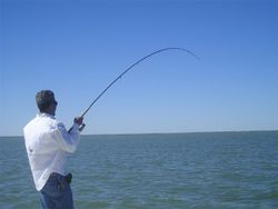 Angler fishing in the Rio Hondo