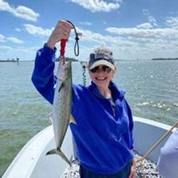 Spotted Seatrout Serenity in Vero Beach