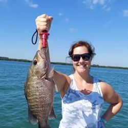 Vero Beach Vibes: Grouper Getaway