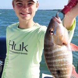 Grouper Glee: Vero Beach Waters
